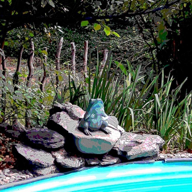 Croa La Rana Hotel Yacanto Bagian luar foto